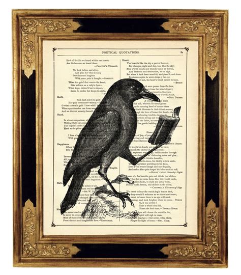 novelcrow|Read Millions of Free Books at Novel Square.